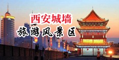 黑人大鸡巴操香港女明星操逼逼放出视频来看中国陕西-西安城墙旅游风景区
